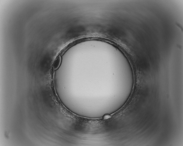 X0000100201264200806201412