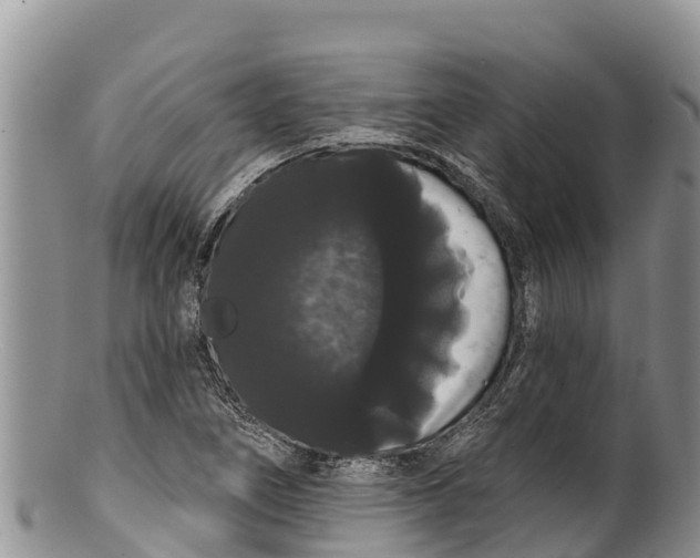 X0000100201266200806201412