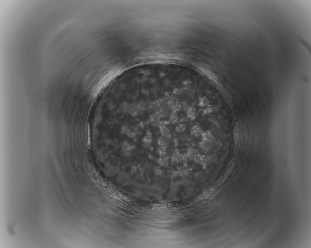 X0000100201267200806201412