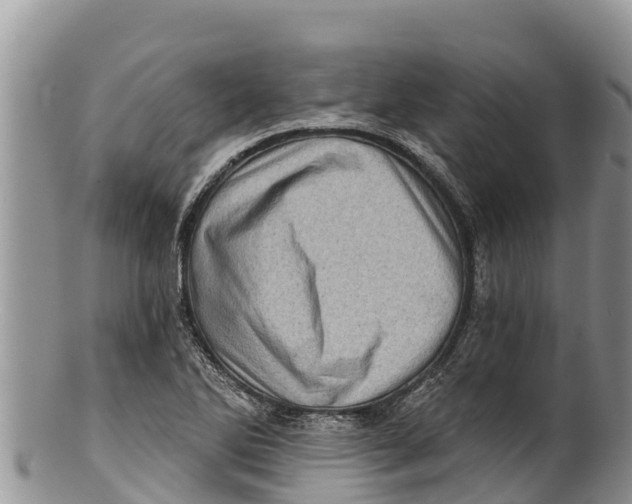 X0000100201270200806201412