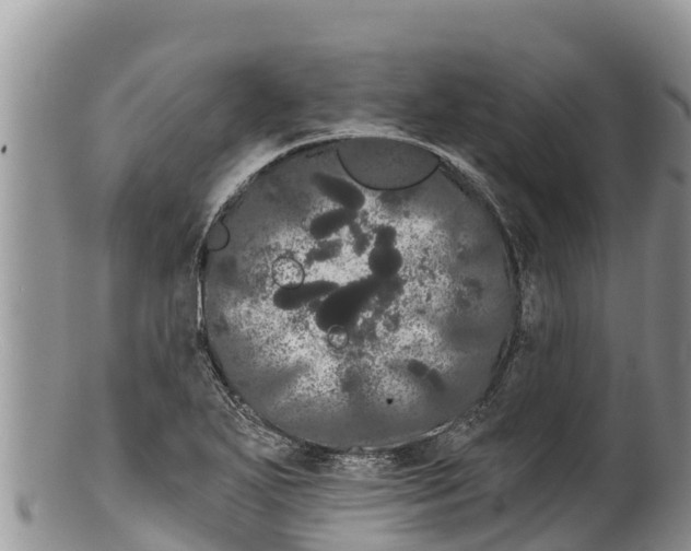 X0000100201271200806201412