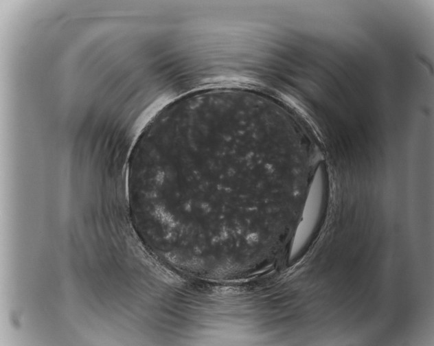 X0000100201275200806201412