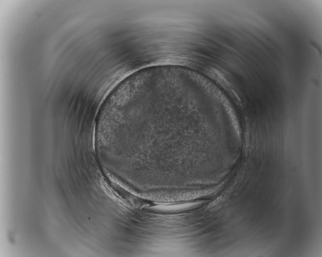 X0000100201276200806201412