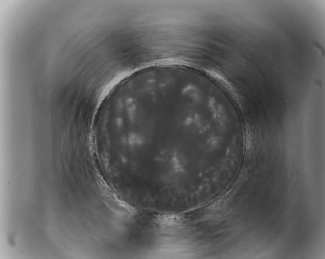 X0000100201278200806201412