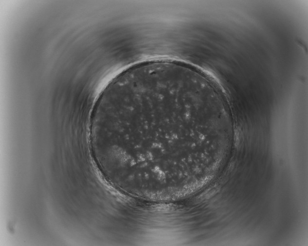 X0000100201279200806201412