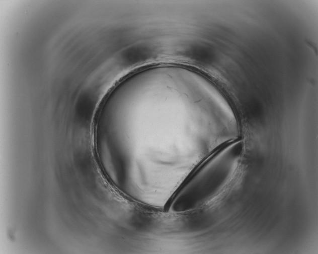 X0000100201280200806201412