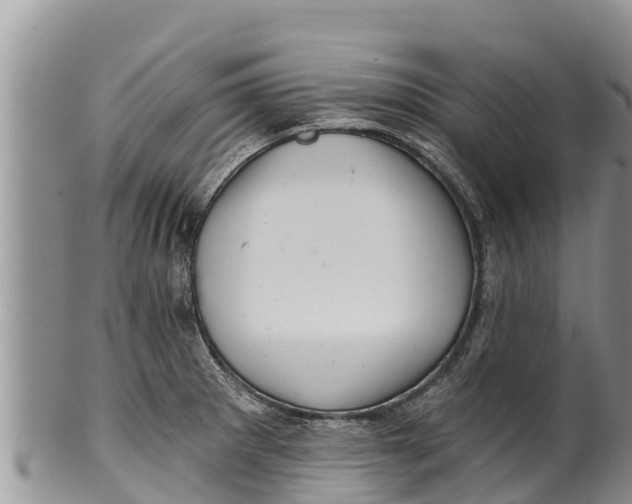 X0000100201281200806201412