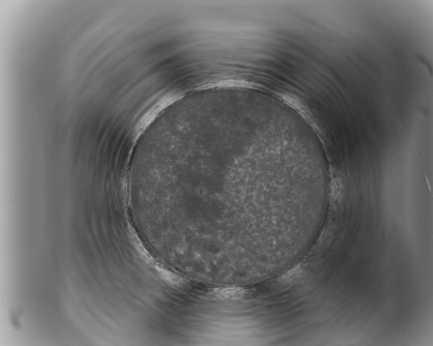 X0000100201282200806201412