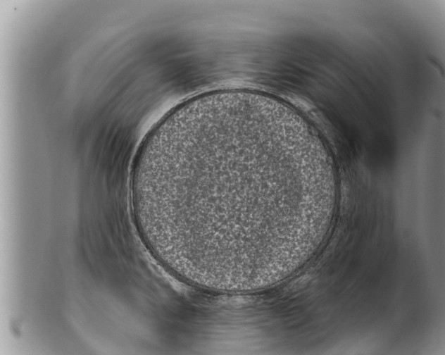 X0000100201286200806201412