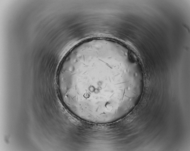 X0000100201287200806201412