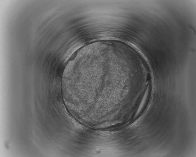 X0000100201289200806201412