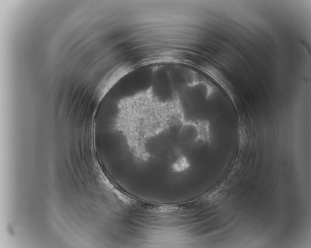 X0000100201290200806201412