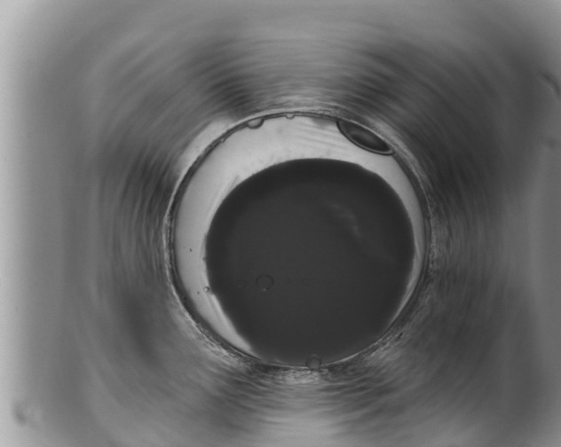 X0000100201291200806201412