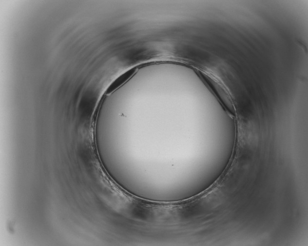 X0000100201292200806201412