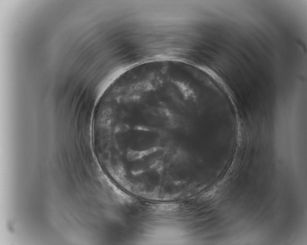 X0000100201294200806201412