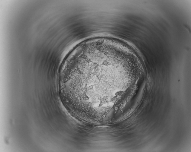 X0000100201295200806201412