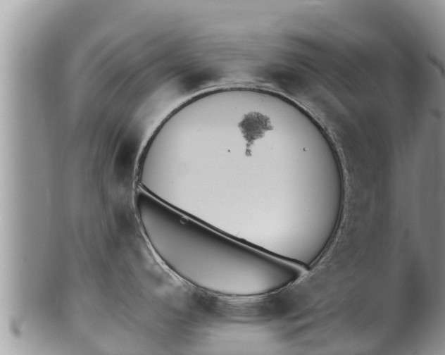 X0000100201296200806201412