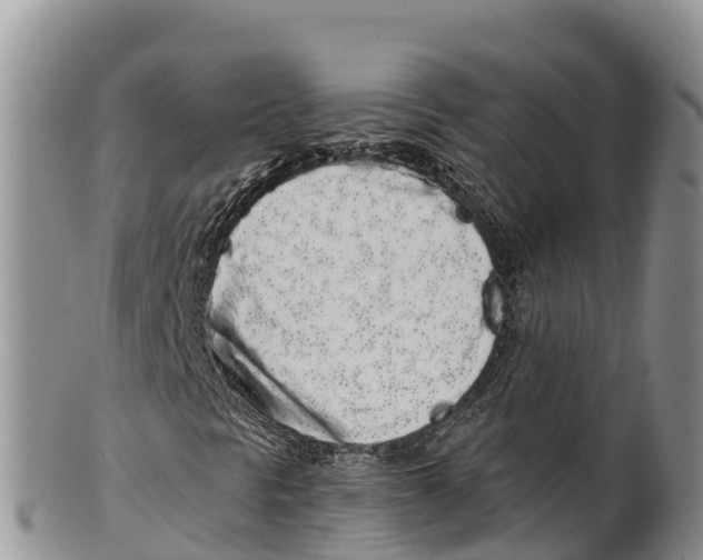 X0000100201297200806201411