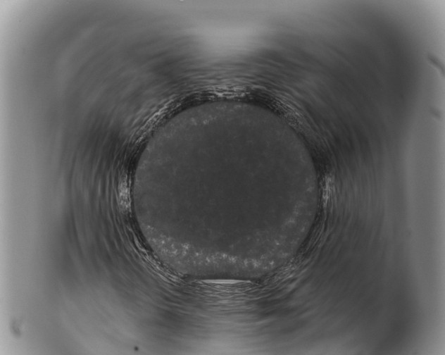 X0000100201298200806201411