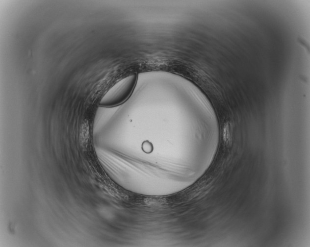 X0000100201299200806201411