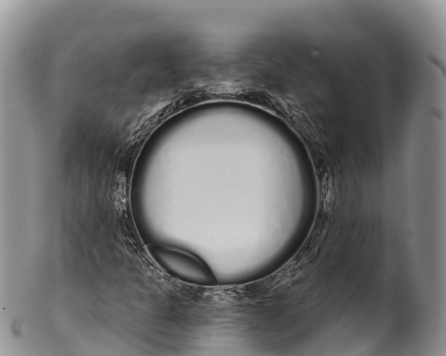 X0000100201301200806201411