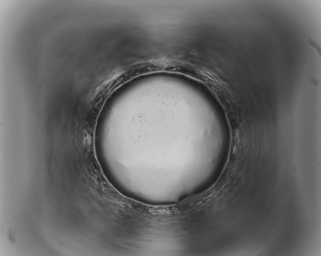 X0000100201302200806201411