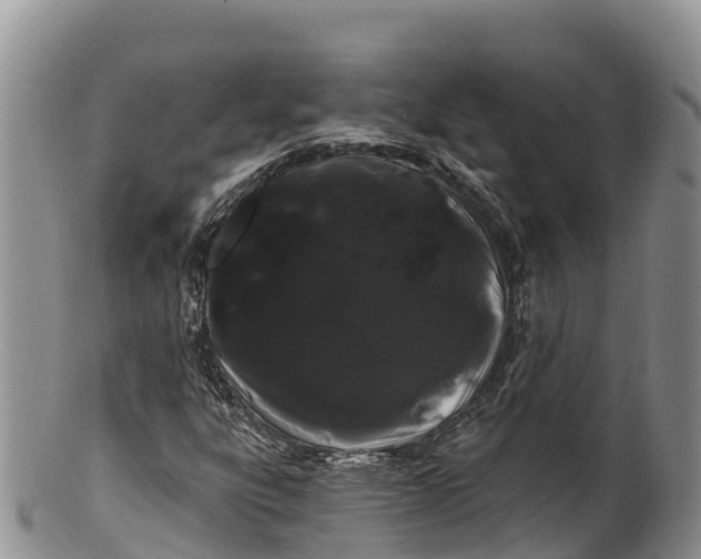 X0000100201303200806201411