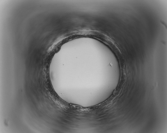 X0000100201304200806201411