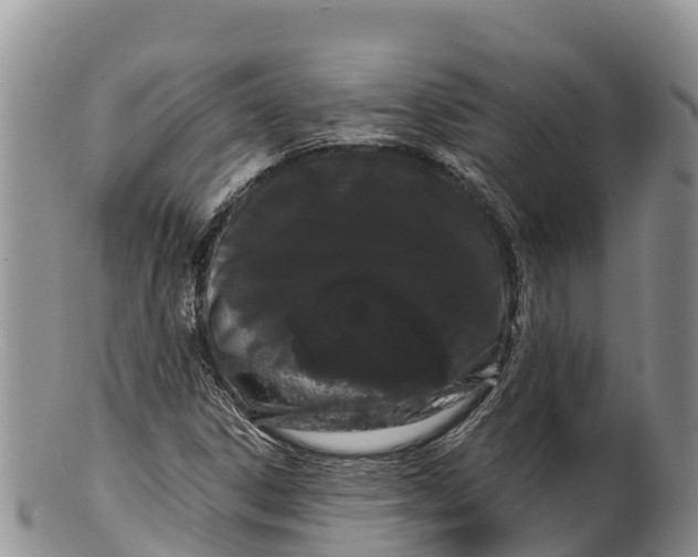 X0000100201306200806201411