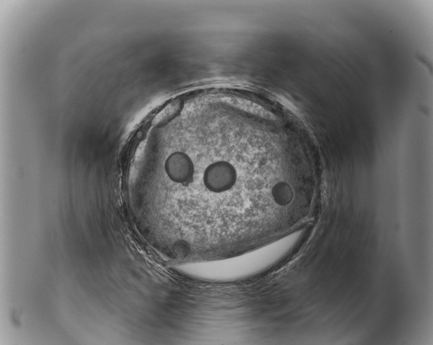 X0000100201310200806201411