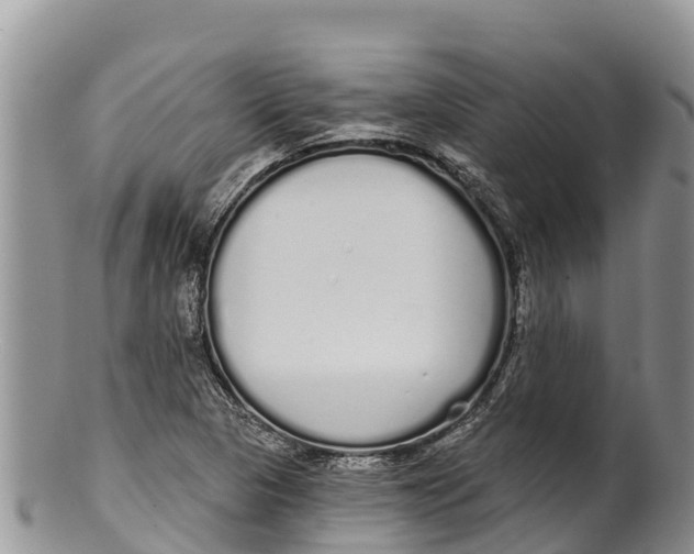 X0000100201313200806201411