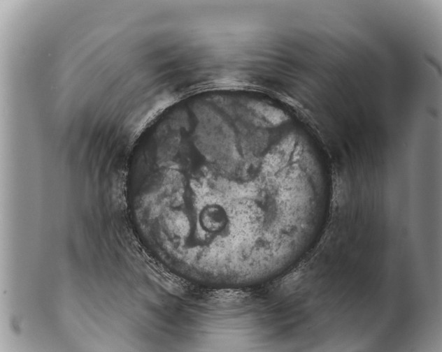 X0000100201314200806201411