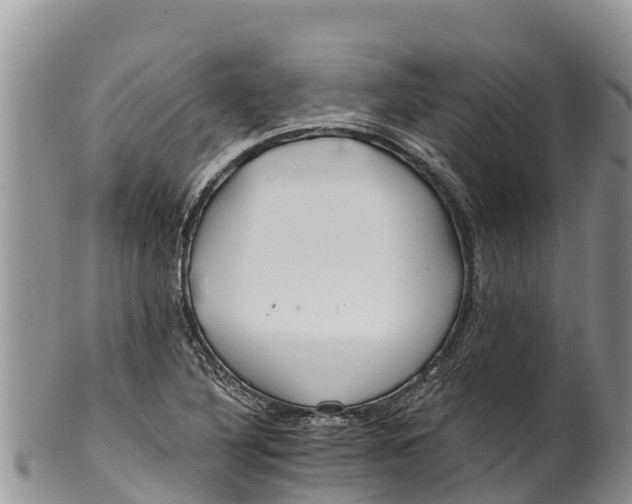 X0000100201316200806201411