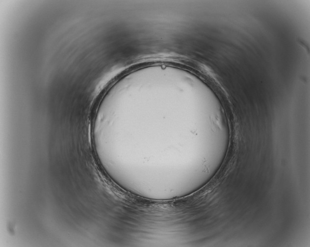 X0000100201320200806201411