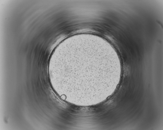 X0000100201322200806201411