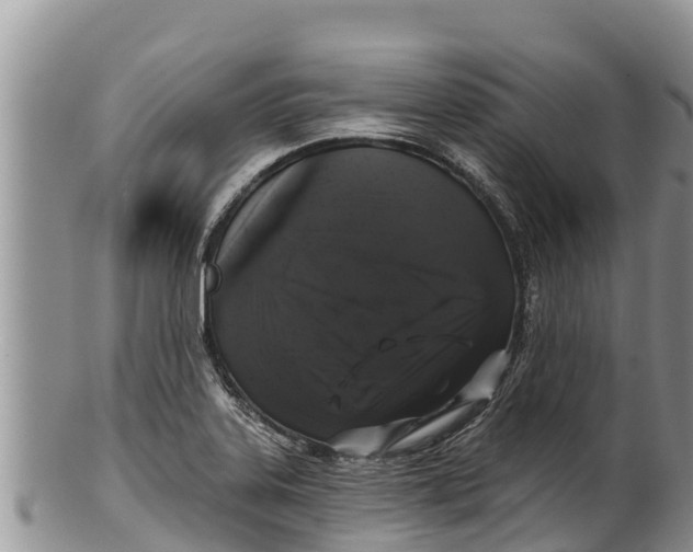 X0000100201323200806201412