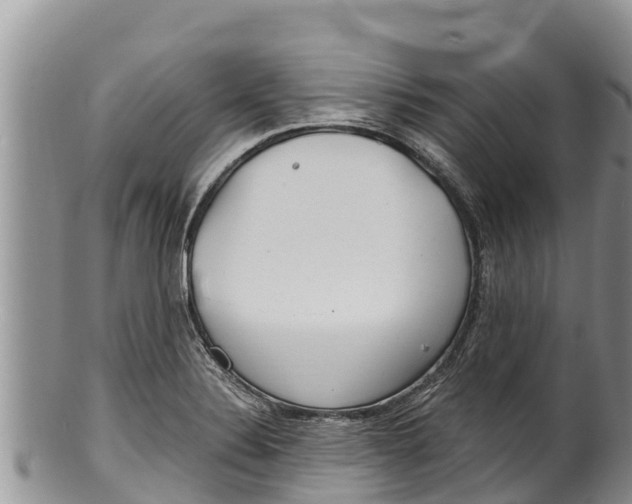 X0000100201324200806201412