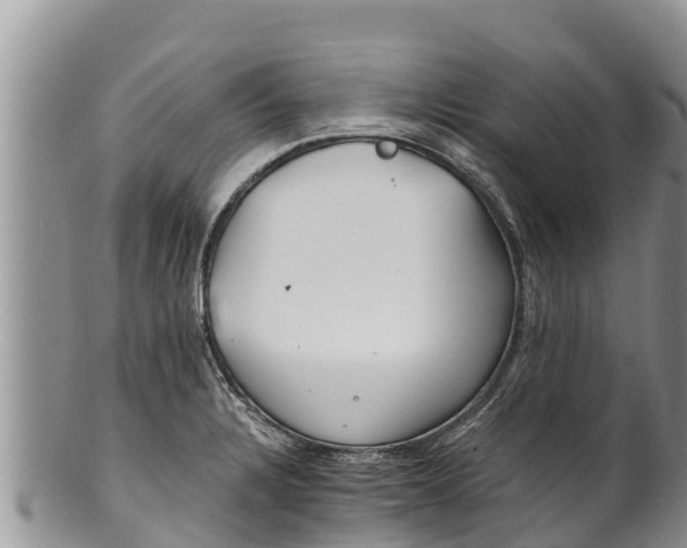 X0000100201328200806201412