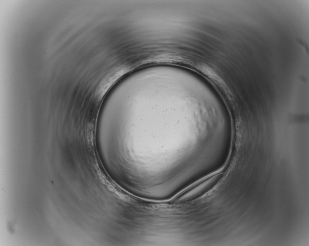 X0000100201329200806201412