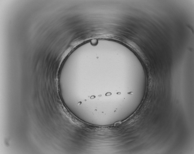 X0000100201332200806201412