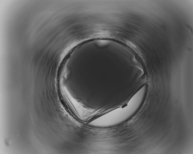 X0000100201334200806201412