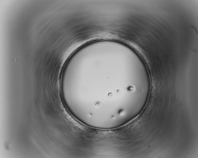 X0000100201335200806201412