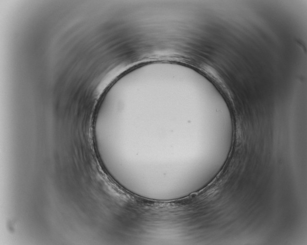 X0000100201336200806201412