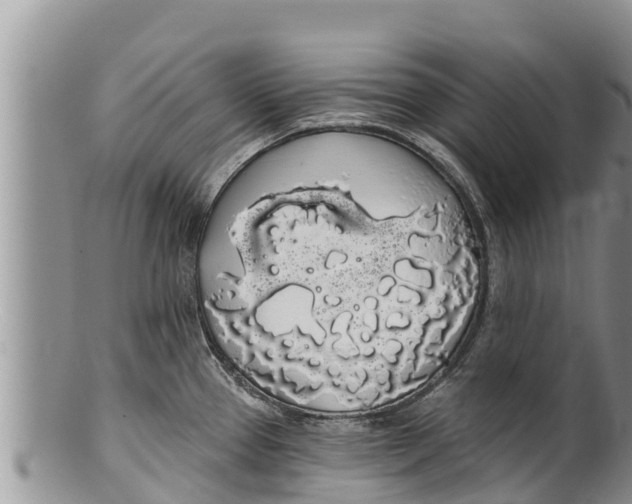 X0000100201337200806201412