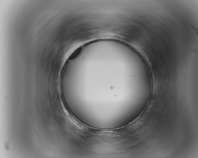 X0000100201342200806201412