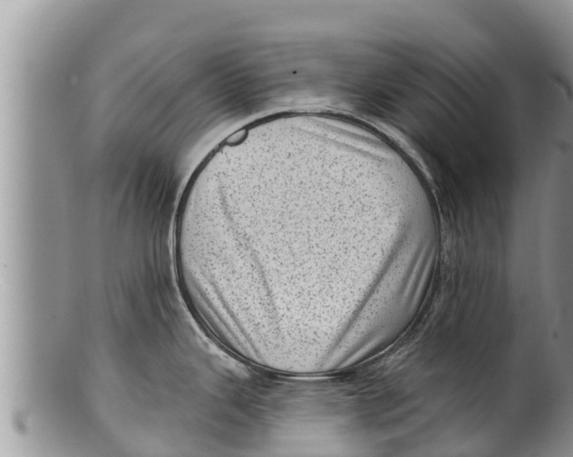 X0000100201343200806201412