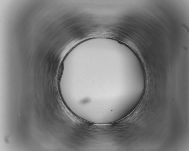 X0000100201344200806201412