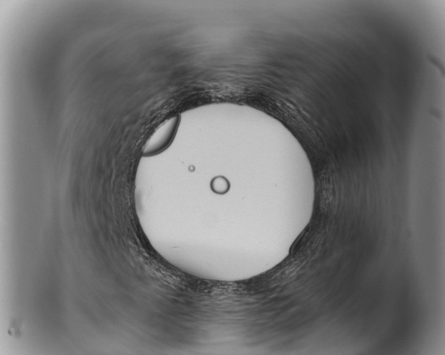 X0000100201345200806201411