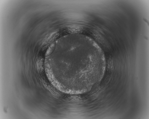 X0000100201346200806201411