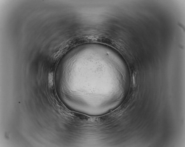 X0000100201347200806201411